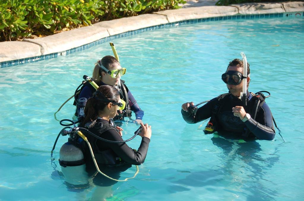 Castaways Cayman Beach Resort Grand Cayman Extérieur photo